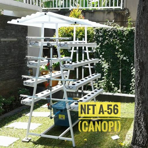 Hidroponik NFT model A Favorit 56 lubang