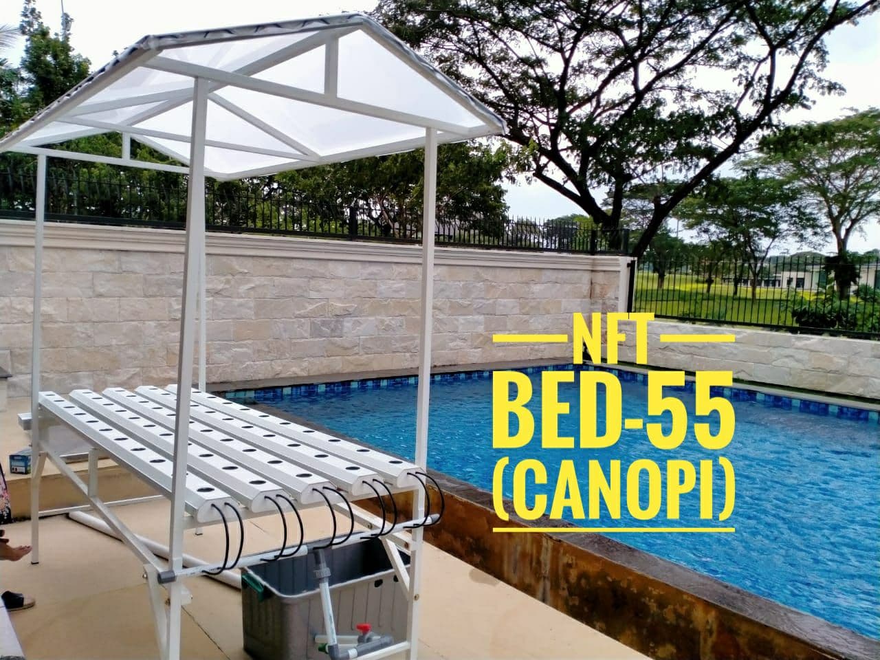 nft bed 55 atap UV