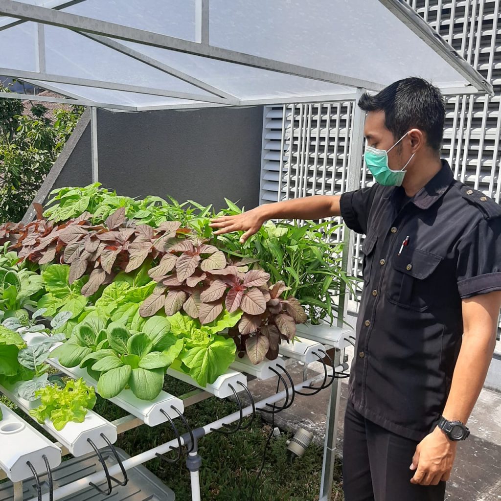 instalasi hidroponik siap praktek surabaya