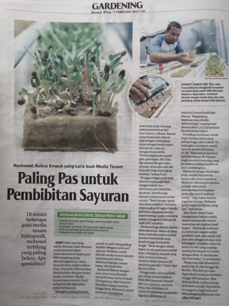 Tritani hidroponik diliput jawa pos