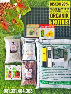 perlengkapan hidroponik surabaya