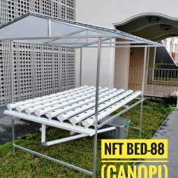 instalasi NFT 88 lubang dengan atap Pemula