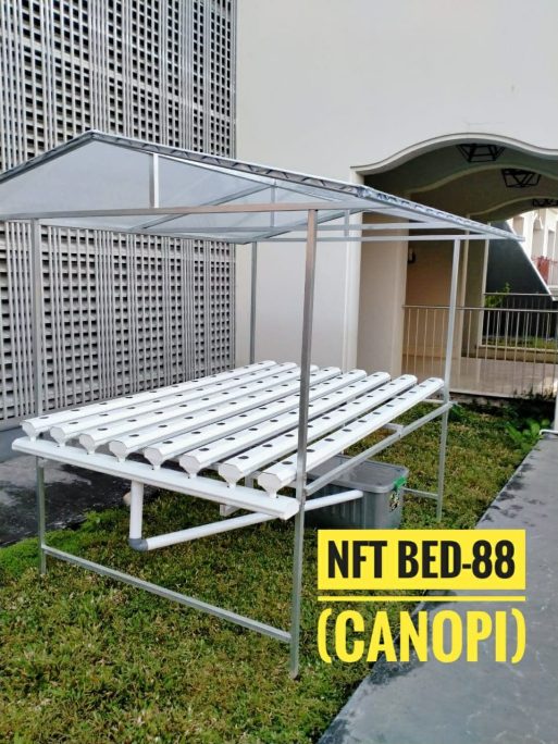 instalasi NFT 88 lubang dengan atap Pemula