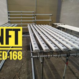 Instalsi NFT tanpa atap