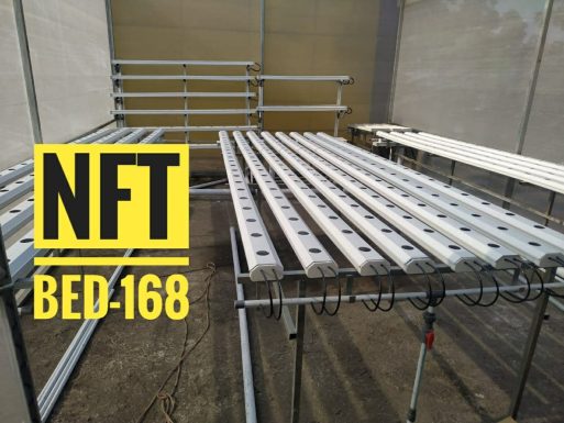 Instalsi NFT tanpa atap
