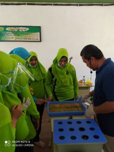belajar hidroponik siswa