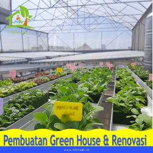 pembuatan green house surabaya malang jakarta