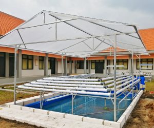 jasa pembuatan isntalsi akuaponik