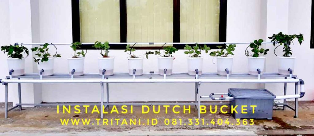 instalasi dutch bucket