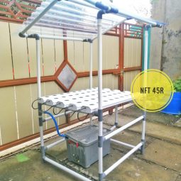 NFT 45 dengan atap