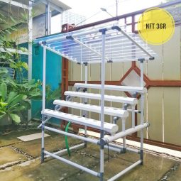 Hidroponik TIngkat NFT