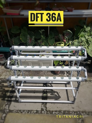 termurah hidroponik 36 lubang