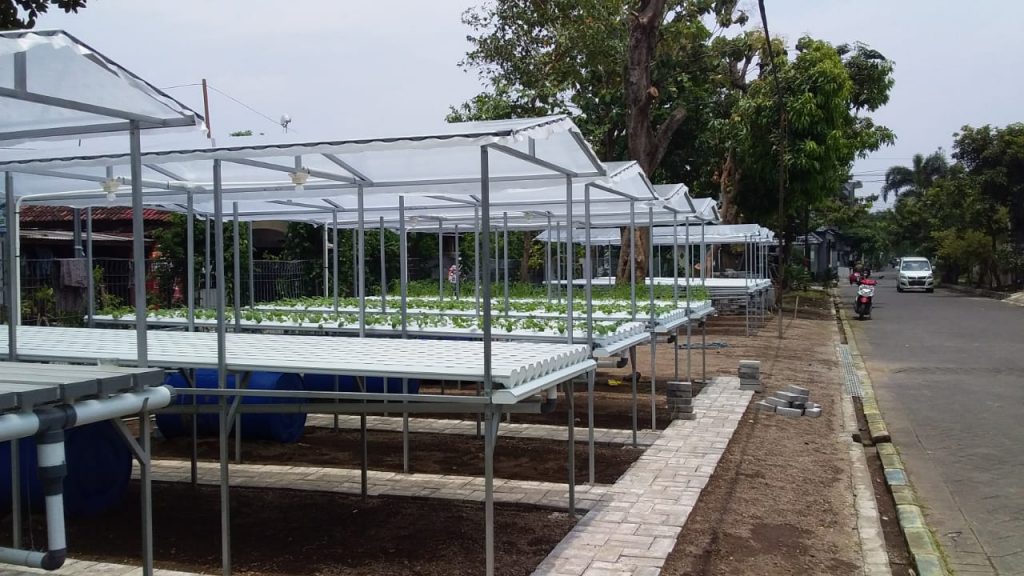 lahan hidroponik di perumahan