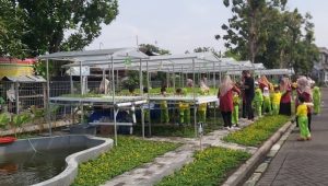 Kegiatan Edukasi Hidroponik