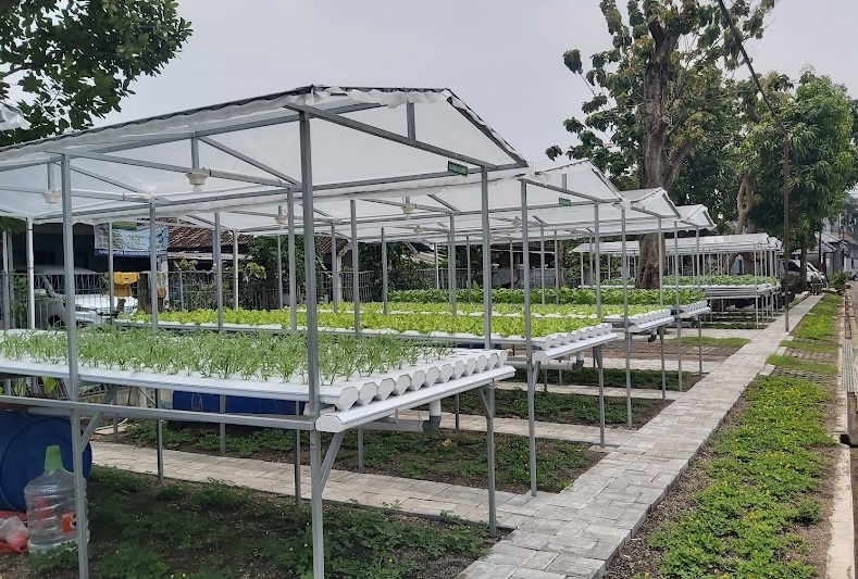 Hidroponik RT RW fastaman Green Sidoarjo