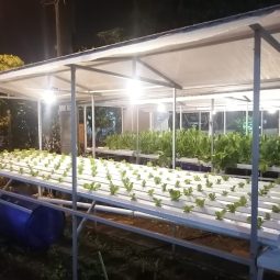 instalasi Hidroponik Fastaman Green