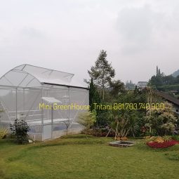 Mini Green House