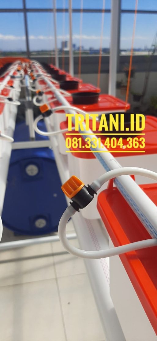 paket growing bucket hidroponik