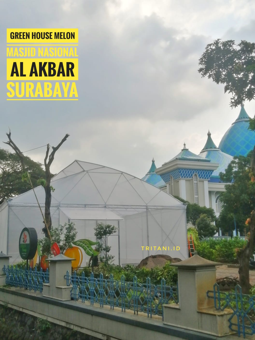 green house melon fertigasi surabaya