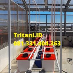 hidroponik growing bucket nft buah