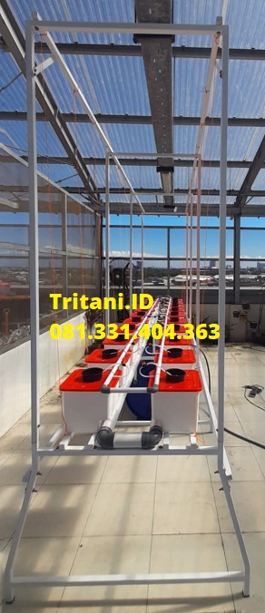 hidroponik growing bucket nft buah