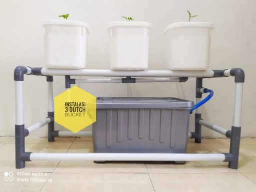 instalasi dutch bucket surabaya