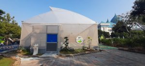 urban farmin green house melon surabaya