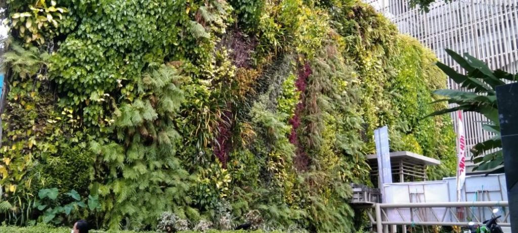 jasa pembuatan vertical garden