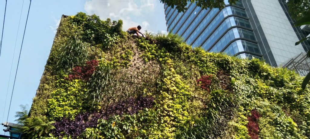 jasa taman vertical 2023 surabaya