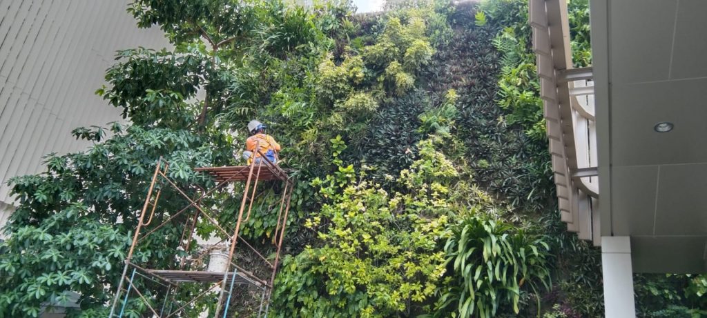 vertical garden profesional murah