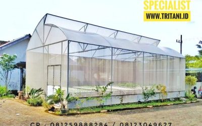 jasa pemasangan plastik UV Green House Surabaya